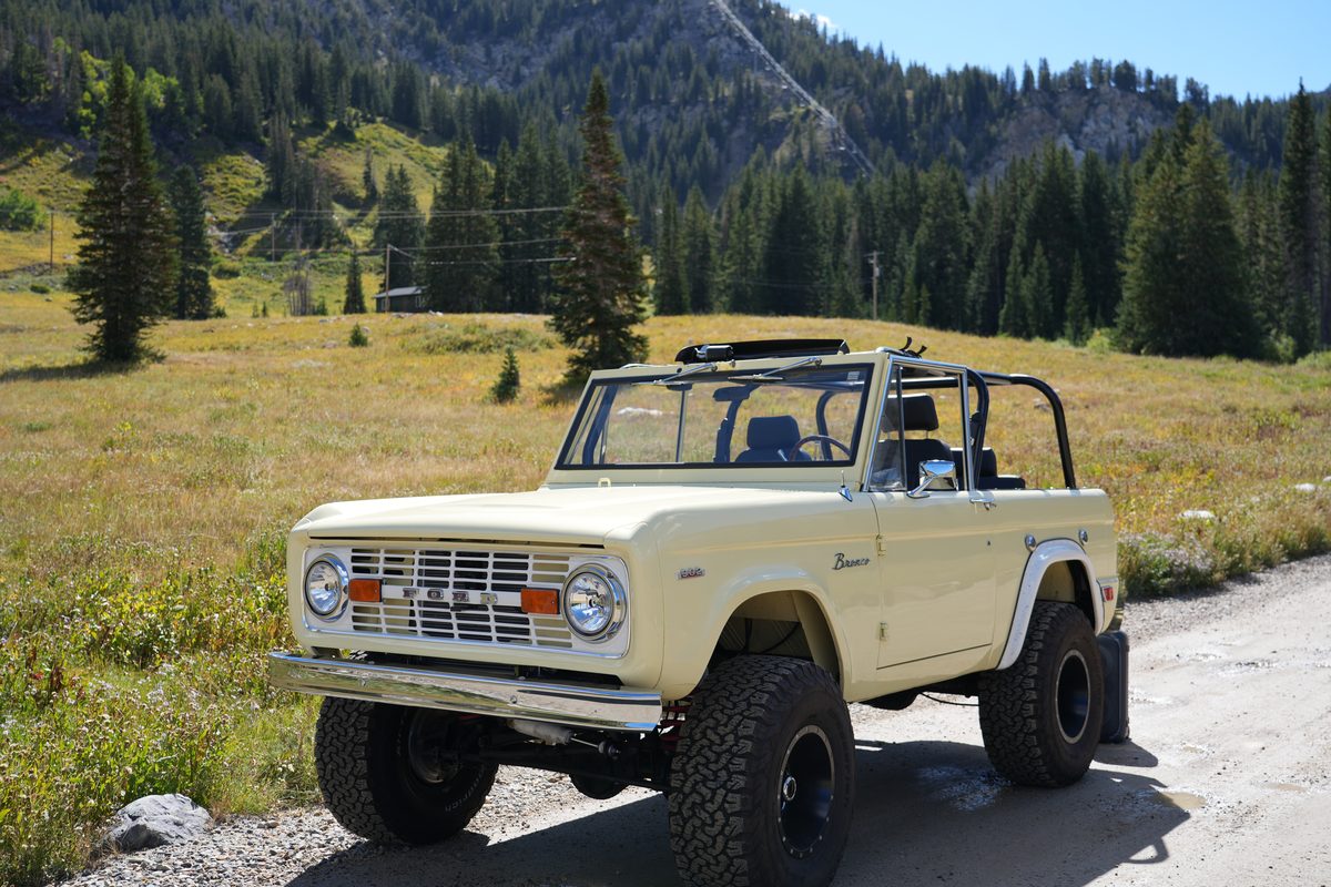 Low front three-quarter view in a mountain meadow, grille and chrome bumper in the foreground